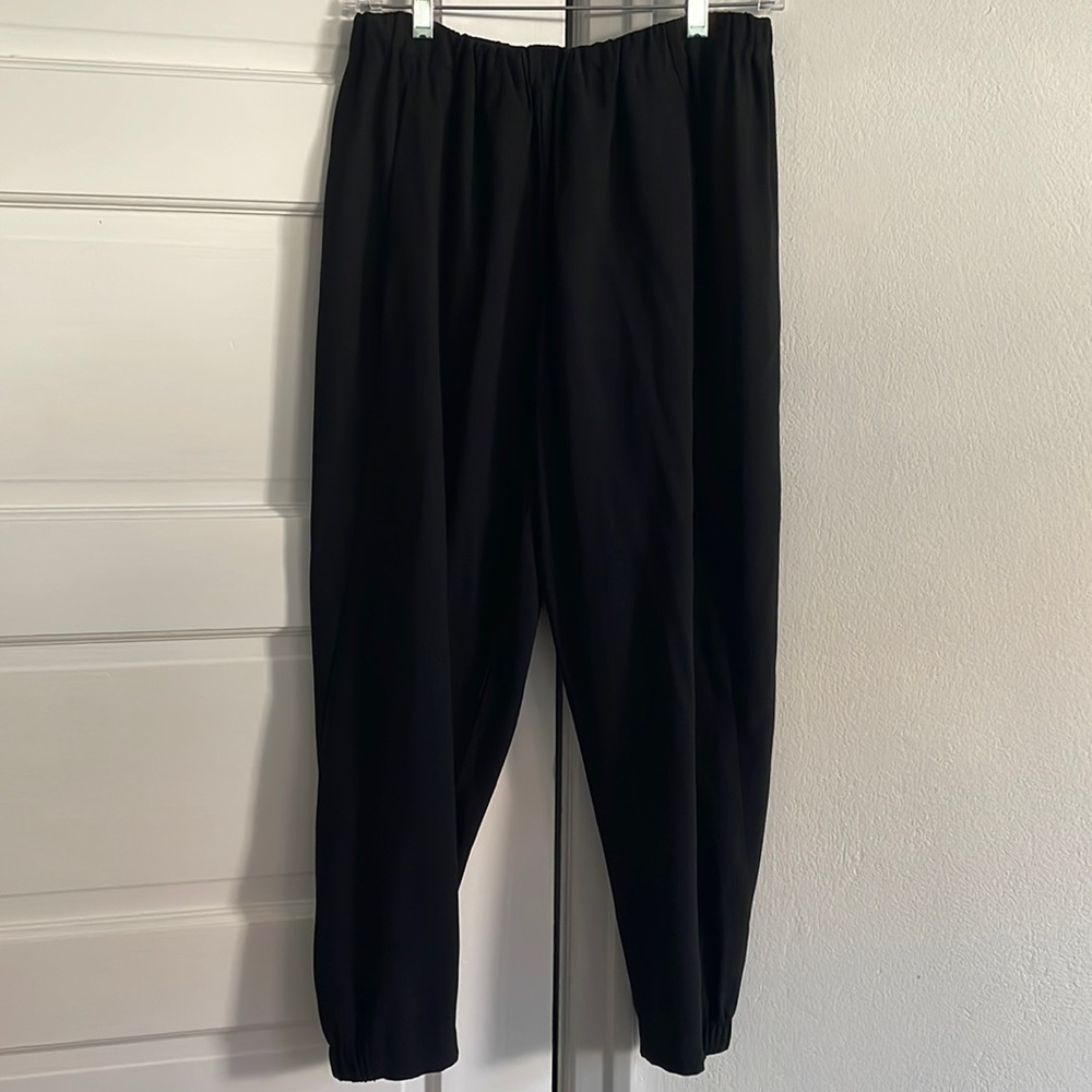 Babaton loose dress pants